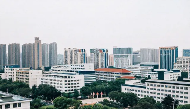 地区网络能力建设:两种做法对比及其实际取舍